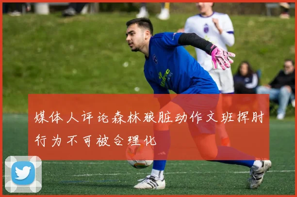 媒体人评论森林狼脏动作文班挥肘行为不可被合理化