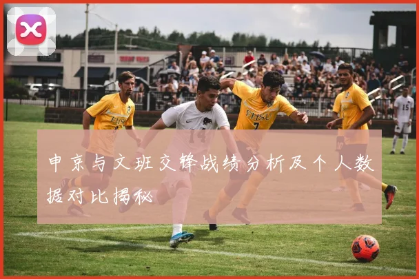 申京与文班交锋战绩分析及个人数据对比揭秘